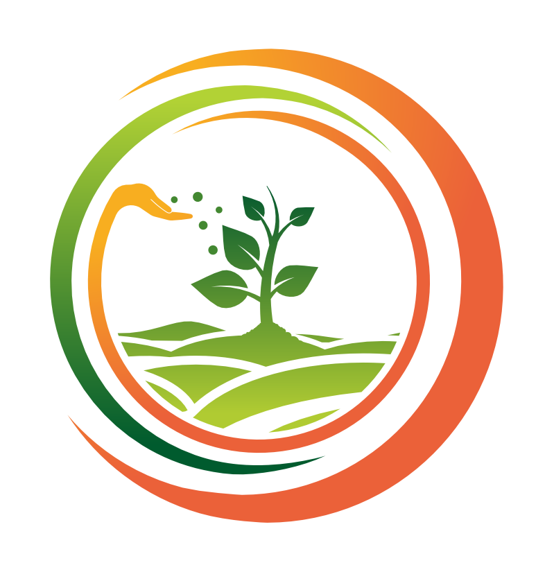 crysenta circle cpzq6ddv